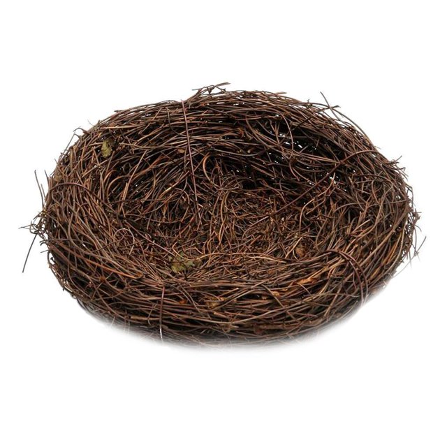 1 Pce Herbe 6-20cm Nid Nature Fait Main pour Bonbons Ufs 8cm