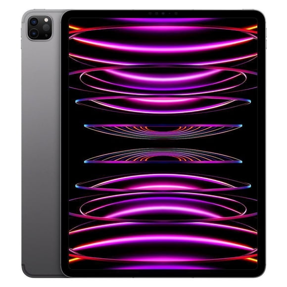 iPad Pro Apple Remis à Neuf 12,9 Po (6e Gén.) A2436 (Wi‐Fi) 128 Go Gris Cosmique (Grade A+)
