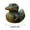 E, variant on Limited Edition Hand-Painted Wild Animal Rubber Duck Set Artisan Crafted Collectible Animal Ducks Nature Inspired Home Decor Gift