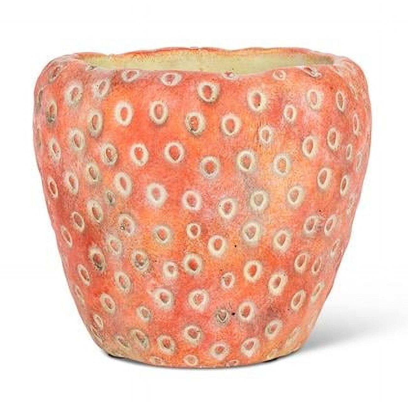Jardinière en Forme de Fraise