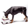 thumbnail image 2 of Filfeel Table d'Alimentation Réglable pour Animaux, pour Chiens Chats Chiots Animaux, 2 of 8