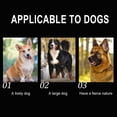 thumbnail image 4 of LSLJS Collier pour Chien en Métal avec Boucle de Sécurité, Collier avec Chaînes Collier pour Chien, Collier d'Entraînement à la Marche en Acier Inoxydable Robuste et Résistant à la Mastication, 4 of 7