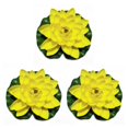 thumbnail image 3 of QualitChoice Artificial Lotus Replacement Simulation Outdoor Garden Park Pond Pool Photography Fake Water Flower Decor Yellow 3PCS, 3 of 6