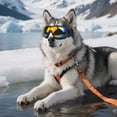 thumbnail image 3 of Lunettes de Soleil pour Chats avec Sangles Réglables & Lunettes de Soleil Adaptées aux Chats pour Conduite/activités Extérieures, 3 of 7