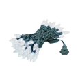 thumbnail image 1 of Novelty Lights 70 Light C6 LED Christmas Mini Light Set, Commercial Grade Outdoor String Lights, Pure White, Green Wire, 24 Feet, 1 of 7