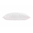 thumbnail image 3 of Earthy Comfort Kapok Pillow - King, 3 of 4