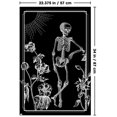 thumbnail image 2 of Skeleton - Nature Wall Poster, 22.375" x 34", 2 of 4