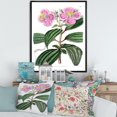 thumbnail image 3 of Designart Vintage Plant Life XXIII FLOAT FRAME WALL ART, 3 of 4