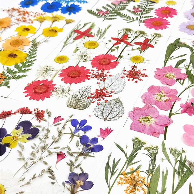 Pressed Flowers Face Decorations Wedding Supplies Resin Flower Manual Makeup Sweet Craft Craftsmanship Scrapbooking Prop DIY Accessory Type 1