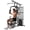 Black, variant on Soozier Multifunction Home Gym Equipment with 100Lbs Weight Stack, Black