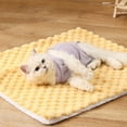 thumbnail image 1 of Tapis Couverture Réversible Doux pour Lit Confortable Coussin Chaud et Douillet Tapis de Sommeil avec Dessous Durable pour Usage Intérieur et Extérieur Lavable et Entretien Facile, 1 of 5