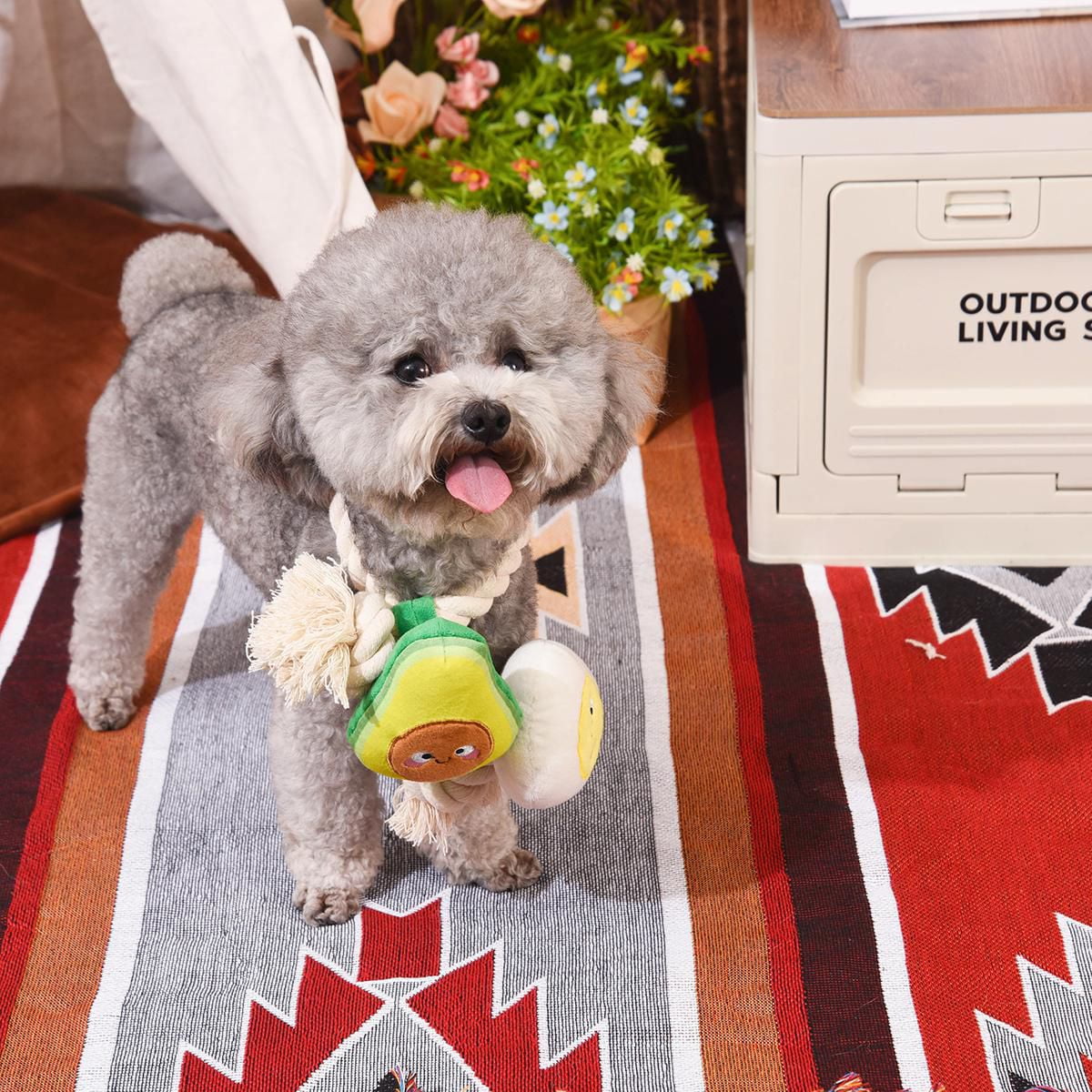 Hugsmart Toast et œuf Jouet à tirer et corde pour chien