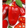 thumbnail image 1 of HJADGG Graines Poivron Doux Rouge Géant Non OGM Légume d'Héritage pour la Plantation, 1 of 8