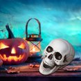 thumbnail image 4 of Yhmxh Halloween Decorations,Party Favors,Halloween Skeletons Plastic Realistic Fake Simulation Human Skull HeadBone Model Halloween Prop Realistic Mini Skeleton Spooky Halloween Decoration, 4 of 5