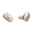 thumbnail image 1 of SONY Industry Leading Truly Wireless Noise Cancelling Earbuds, 1 of 7