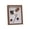 D, variant on Aursykel Shadow Box Frame for Displaying Photos Keepsakes Medals and Memorabilia with Solid Wood Hinged Door and Polished Glass Window for Home or Office Decor 4X6 Inch Size