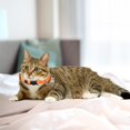 thumbnail image 2 of 8 Color Off The Shelf Cat Collar Can Be Broken Cat Callor Cat Collar, 2 of 6