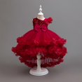 thumbnail image 2 of LOVZFMLL Fille Enfant Été Manches Courtes Volantée Dentelle Col Rond Broderie Maille Princesse Jupe à Nœud, 2 of 3