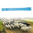 thumbnail image 3 of Collier pour Chèvre, 10 Pcs Collier pour Chèvre Bandes d'Identification pour Moutons Marquage du Bétail Équipement Agricole, 3 of 8