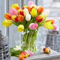 thumbnail image 2 of Bulbs are Easy Flower Bulbs - Tulip Triumph Assorted (80 Bulbs), 2 of 2