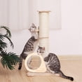 thumbnail image 3 of LITINKIMI Sturdy Cat Climbing Frame Scratching Indoor Play 1Set, 3 of 6