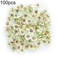 thumbnail image 2 of 100Pcs 2cm Mini Artificial Daisy Flower Head DIY Wedding Holiday Garland Decor, 2 of 10