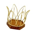 thumbnail image 4 of GROWTH TANK Coffee Filter Holder Iron Organizer Container for House Warming Home Kitchen gold, 4 of 9
