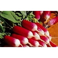 thumbnail image 3 of GSDWIUEW Radish 18 Days Seeds for Planting Around 200 Seeds, 3 of 8