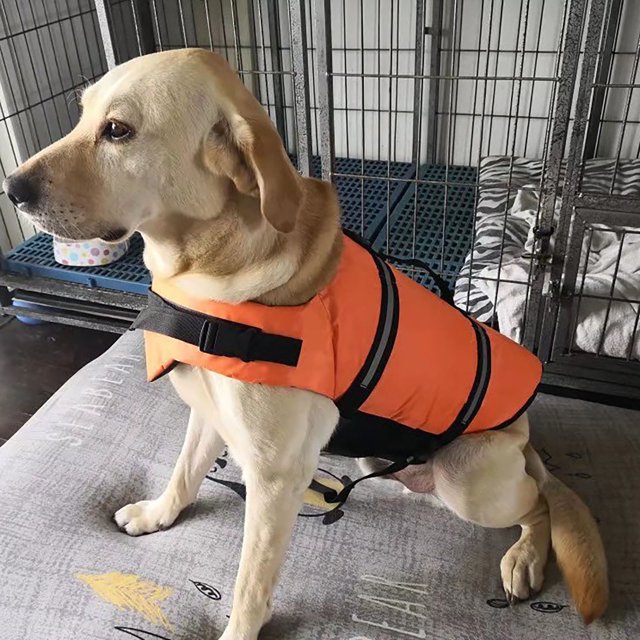 LSLJS Large Small Dog High Buoyancy Reflective Stripes Adjustable Life Jacket Swimsuit, Dog Birthday Party Supplies, Pet Clothes
