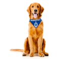 thumbnail image 2 of Indianapolis Colts Dog Bandanna Size S, 2 of 5