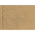 thumbnail image 1 of Ahgly Tapis Rectangulaire Orange Lavable en Machine, 8 Pieds x 12 Pieds, 1 of 7