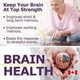 thumbnail image 4 of Vitamin B Complex 150 Capsules, 4 of 5