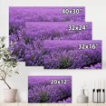 thumbnail image 4 of Designart Blooming Purple Lavender Field Canvas Wall Art, 4 of 4