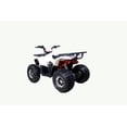 thumbnail image 3 of Tao Motor Raptor 125 VTT de Taille Moyenne Édition Limitée (Assemblage Requis), Blanc, 3 of 6