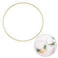 thumbnail image 2 of yuksok Metal Round Embroidery Hoops Circle Hoop Craft , DIY 12cm, 2 of 9