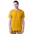 thumbnail image 1 of Hanes T-Shirts à Col Ras du Cou ComfortSoft pour Hommes, Lot de 4, S, Or, 1 of 5