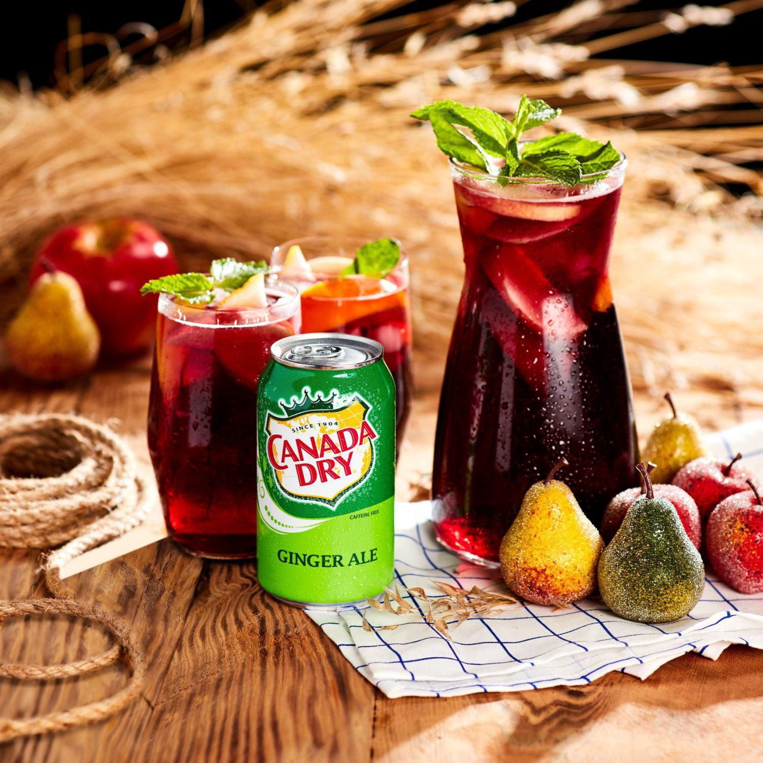 Soda gingembre diète Canada DryMD - Bouteille de 2 L