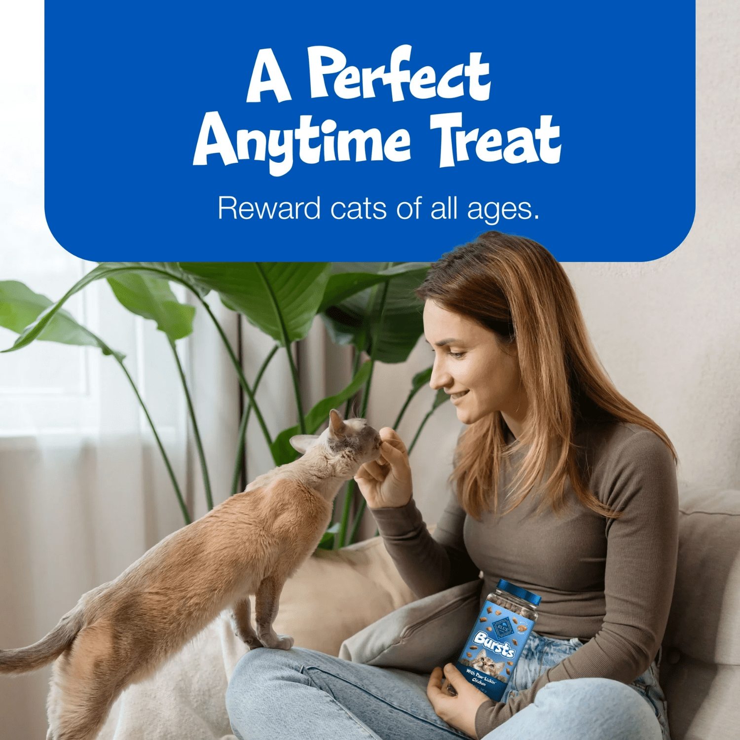 Blue Buffalo Bursts Gâteries Croquantes pour Chats Saveur Poulet