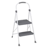 COSCO 1 Step Non-Folding Steel Step Stool with 7ft 3in Max Reach (Platinum & Black color, Steel)