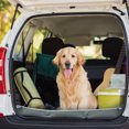 thumbnail image 2 of AUTO DRIVE PL Tapis de Coffre, 2 of 8