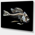 thumbnail image 2 of Os de Squelette de Poisson sur Fond Noir - Impression Artistique sur Toile d'Animal, 2 of 3