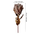 thumbnail image 3 of Flowers - Flowers for Home - Dried South African Flower 1969 Inch, 3 of 6