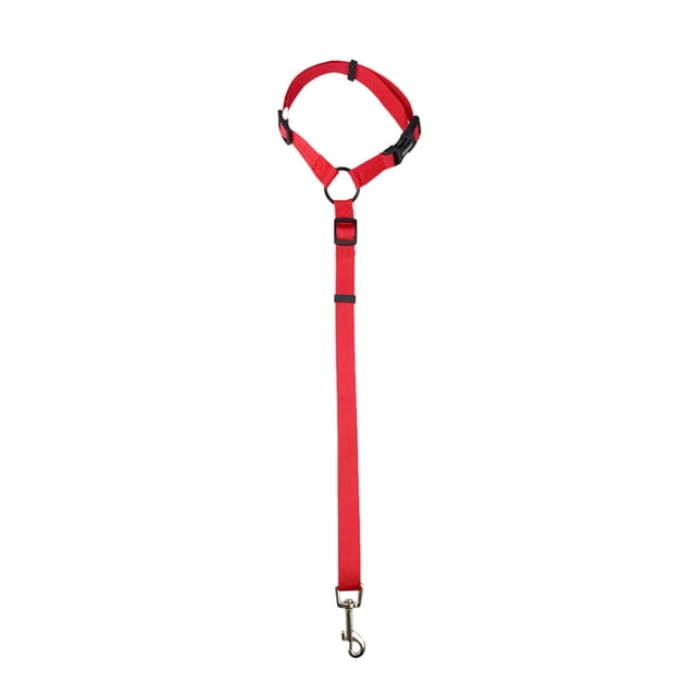 Ceinture de Réglage de Siège pour Chien, Sécurité Automobile, Ceinture de Poitrine pour Chiot
