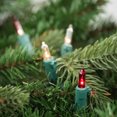 thumbnail image 3 of Northlight Mini Incandescent Christmas Lights - Red and Clear - 10' Green Wire - 50ct, 3 of 6