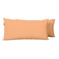 thumbnail image 2 of Vargottam Indoor/Outdoor Polyester Fabric Lumbar Pillow With Insert, All-Weather Waterproof Decorative Throw Pillow for Patio Furniture-Set of 2 - Light Peach, 2 of 7