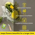 thumbnail image 3 of Chrysal Aliment Universel Transparent pour Fleurs - 200 Sachets, 3 of 6