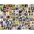 thumbnail image 1 of Ravensburger 99 Lovable Dogs 750 Piece Jigsaw Puzzle for Adults â Every Piece is Unique, Softclick Technology Means Pieces Fit Together Perfectly, 1 of 6