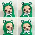 thumbnail image 4 of Fruit Turned Into Dogs, Cats, Dogs, Autumn And Winter Sweaters, Fleece Clothes, 4 of 9