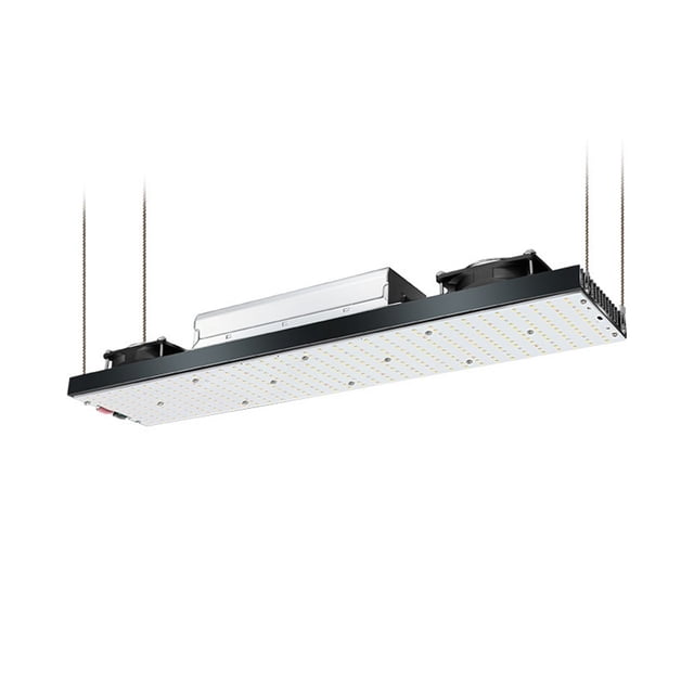 LM301h LED Grow Full Spectrum LED Grow Lights 240W 480W 720W Grow Light For Indoor Vegetable Flower Seedling