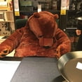 thumbnail image 4 of 100cm Simulation Djungelskog Brown Bear Giant Plush Teddy Bear Toy Stuffed Animals Soft Cushion Girl Kids Birthday Gift, 4 of 5